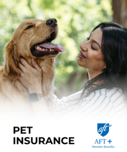 Woman at eye level with golden retreiver, scratching under the dog's jaw. The dog is really happy about it